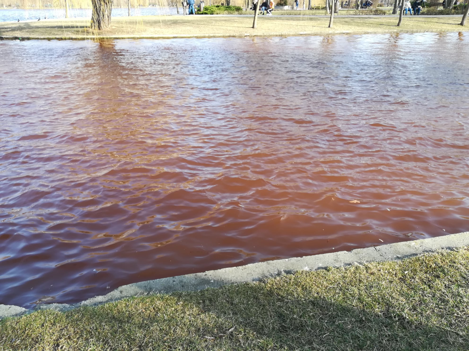 Ministrul Mediului Despre Lacul Ior Care A Devenit Ro U Din Analizele