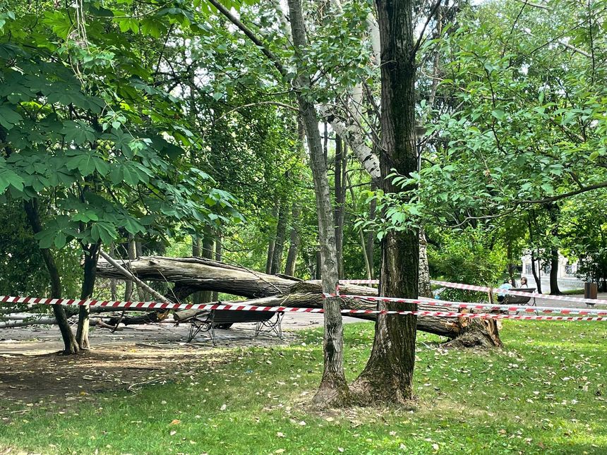 O femeie a fost rănită de un copac care a căzut în parcul IOR din