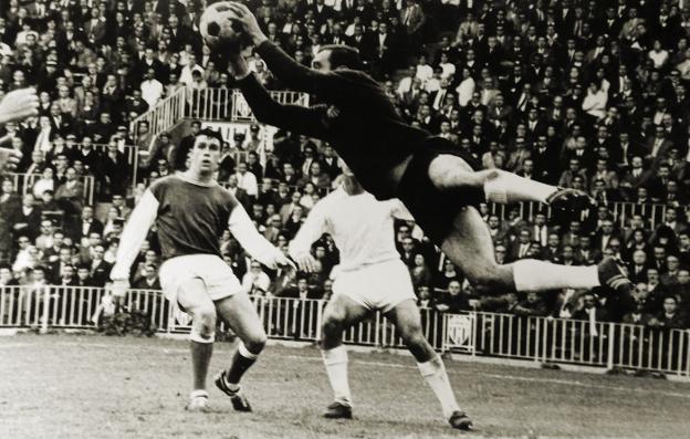 Iepurașul de pâslă al lui Don Ricardo