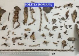 155 de obiecte dintr-un tezaur dacic, recuperate de polițiștii din Alba