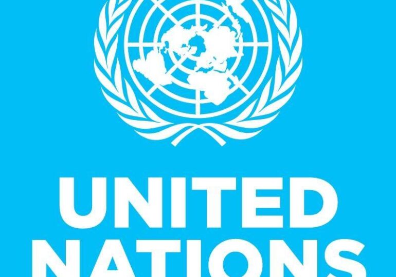 Consiliul de Securitate al ONU are 4 membri noi. Cum a câștigat Bono în fața lui Celine Dion