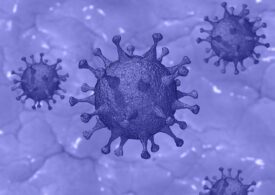 Suedia înregistrează primul caz de contaminare cu varianta britanică a noului coronavirus