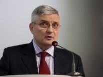 Dăianu: Deprecierea accelerată a leului este legată de criza politică. România riscă să fie penalizată de investitori