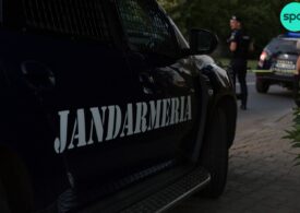 Jandarmii să oprească în trafic şi să controleze transporturile de lemne - proiect de lege