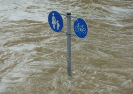 Viitura de pe Prut a ajuns în România: Apa a depăşit cu 2 metri cota de pericol