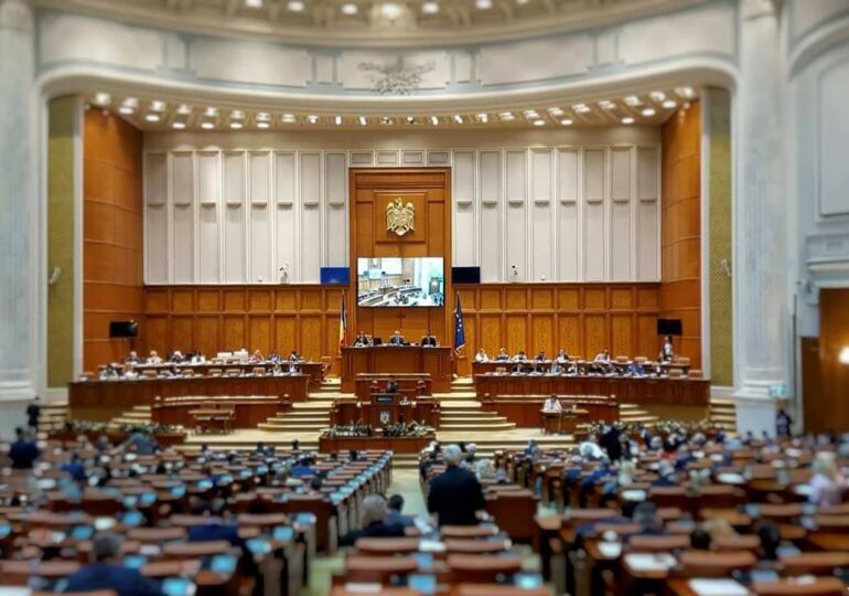 Parlamentul a decis: Toni Greblă și Mariana Moț vor conduce secții în Consiliul Legislativ