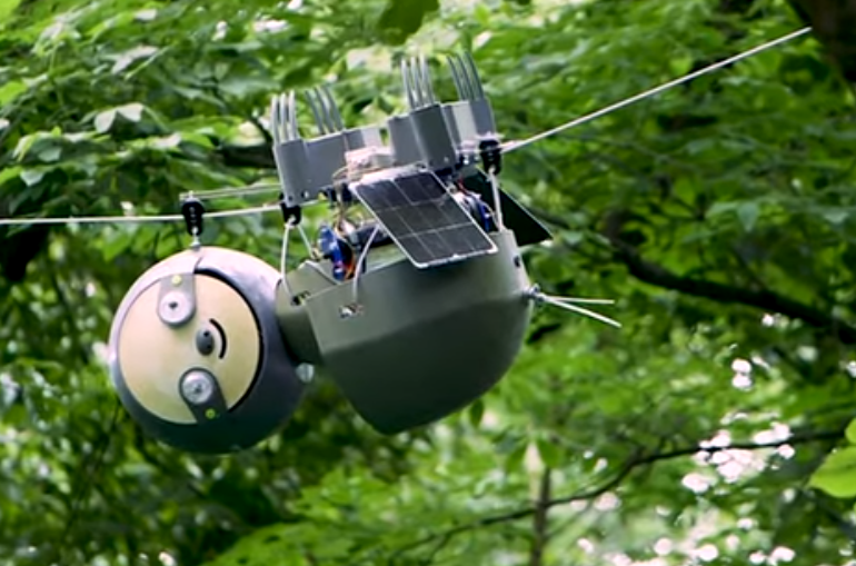 Un robot inspirat de leneş ajută, foarte încet, la salvarea speciilor pe cale de dispariţie