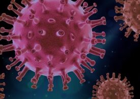 Coronavirusul actual este 3 până la 6 ori mai infecţios decât variantele iniţiale