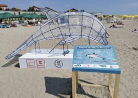 Sisteme de colectare în formă de animale marine, amplasate pe litoralul românesc