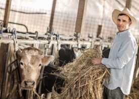 Peste 180 de mici fermieri români și-au dublat producția de lapte prin programul Danone România “O șansă pentru familia ta”