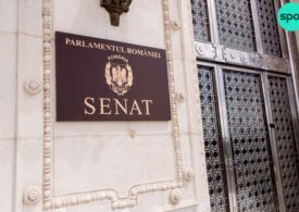 Senatul a respins decizional proiectul USR de desființare a SIIJ: USR acuză PSD că a făcut scut pentru justiţia lui Dragnea