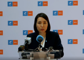 Ana Ciceală, USR PLUS: Am depus plângere penală împotriva lui Robert Negoiţă
