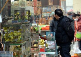 După coronavirus, China închide treptat toate pieţele unde se vând păsări vii