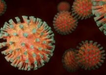 Coronavirus: Peste 17 milioane de contaminări şi mai mult de 667.000 decese, în lume