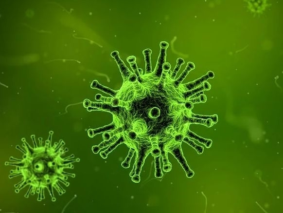 Coronavirus: Americanii nu mai au loc pentru cadavre. Au cumpărat frigidere pe roți