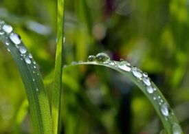 Meteo: Vin iar ploile, dar în sud rămâne cald