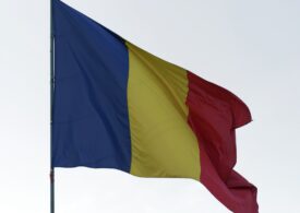 Reprezentantă a românilor din Germania: Atitudinea autorităților române de a-și apăra conaționalii în mod public este deseori absentă sau târzie