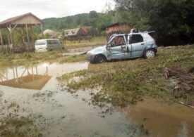 Apele au făcut prăpăd în țară: Copaci rupți, case inundate și o persoană luată de viitură la Bușteni