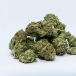 New York legalizează consumul de marijuana în scop recreativ