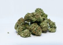 New York legalizează consumul de marijuana în scop recreativ