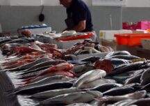 Peste 930 de kilograme de peşte şi icre au fost confiscate de inspectorii ANSVSA în piețele din București: Amenzi de 54.000 de lei