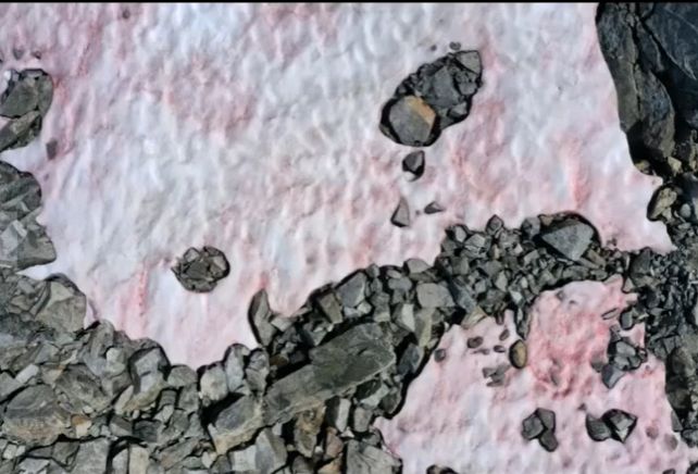 Fenomen misterios în Alpi: Gheața a devenit roz!