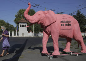 Doi ani de la protestul 10 August: Elefant roz uriaș, la Cotroceni