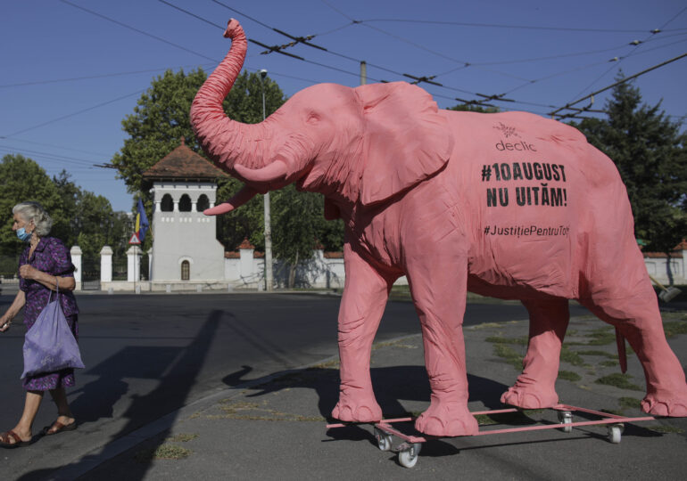 Doi ani de la protestul 10 August: Elefant roz uriaș, la Cotroceni