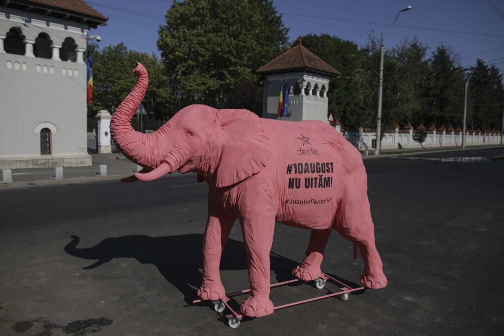elefant roz protest 10 august