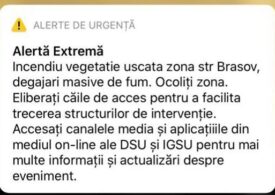 Avertizare prin Ro-Alert după izbucnirea unui incendiu pe 10.000 de metri pătraţi de vegetație, în București