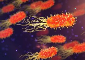 UE dezvoltă mașini microscopice care să omoare bacteriile rezistente la antibiotice