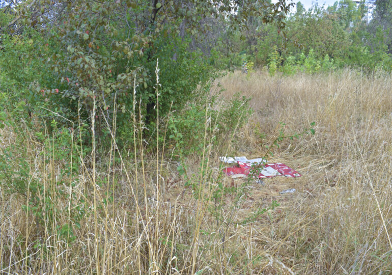 Un bărbat care punea foc în parcul IOR a fost prins și arestat