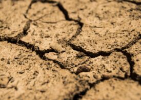 Stare de urgenţă în Italia din cauza celei mai grave secete din ultimii 70 de ani. Șunca de Parma e în pericol