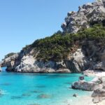 Un val masiv de căldură aduce specii veninoase în mările Greciei şi face apele mai periculoase pentru oameni
