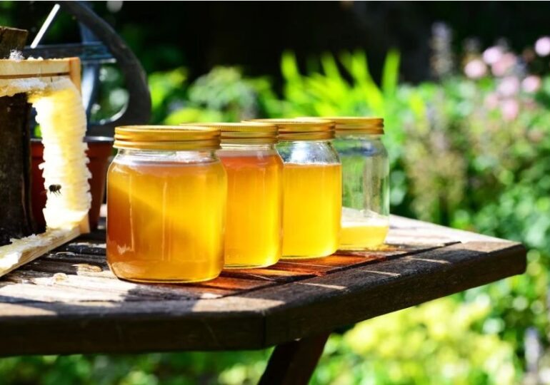 Studiu la Oxford: Mierea este mai eficientă decât antibioticele, în anumite cazuri