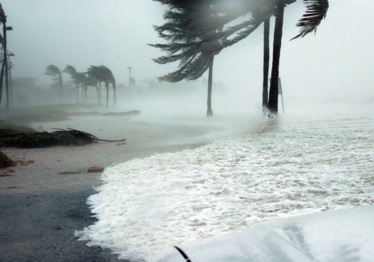 Florida, unul dintre cele mai afectate state americane de COVID-19, este amenințat și de un uragan puternic