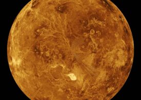 Astronomii au descoperit posibile indicii de viaţă pe Venus