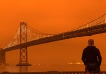 Cer apocaliptic în San Francisco, din cauza incendiilor de amploare istorică (Video&Foto)