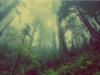 Europa își îngroapă pentru prima dată emisiile în pământ: un nou început climatic
