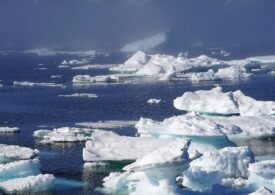 Efectele schimbărilor climatice: O mare bucată de gheață s-a desprins din calota glaciară a Groenlandei și s-a sfărâmat în multe bucăţi mici
