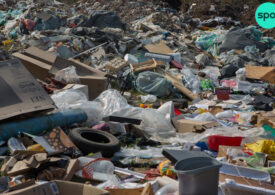 Cum au ajuns deșeurile depozitate ilegal să îngroape o parte din Sectorul 3. Autoritățile ridică din umeri, gunoiul se adună