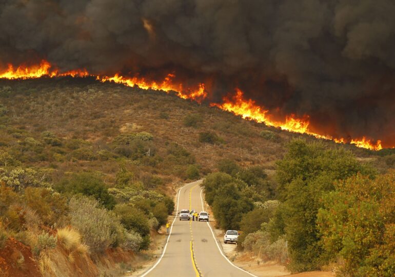 Incendiul de vegetaţie de la nord de Sacramento este cel mai mare din istoria Californiei