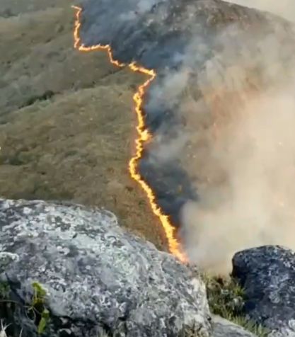 Brazilia a declarat stare de urgenţă din cauza incendiilor care mistuie cea mai umedă regiune a planetei (Foto&Video)