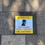 Lista actualizată permanent a județelor unde este obligatoriu să porți mască sanitară în jurul școlilor