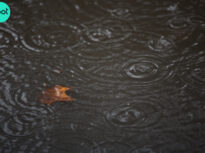 Codul roșu închide toate școlile și grădinițele din Constanța