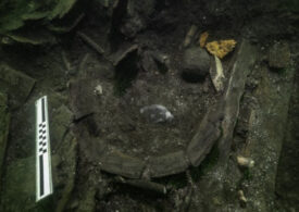 Descoperire unică în epava unei nave regale care s-a scufundat acum 500 de ani