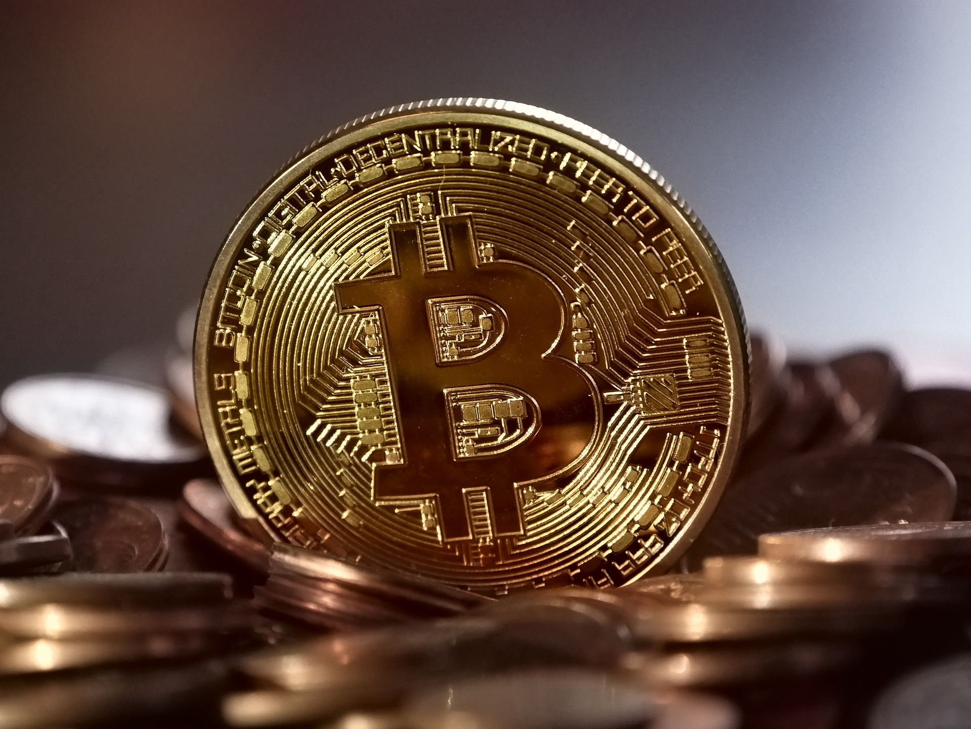 10.000 de dolari investiți în bitcoin în 2022)
