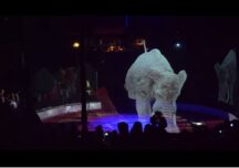 Cum arată un spectacol de circ, în Germania lui 2020 (Video)