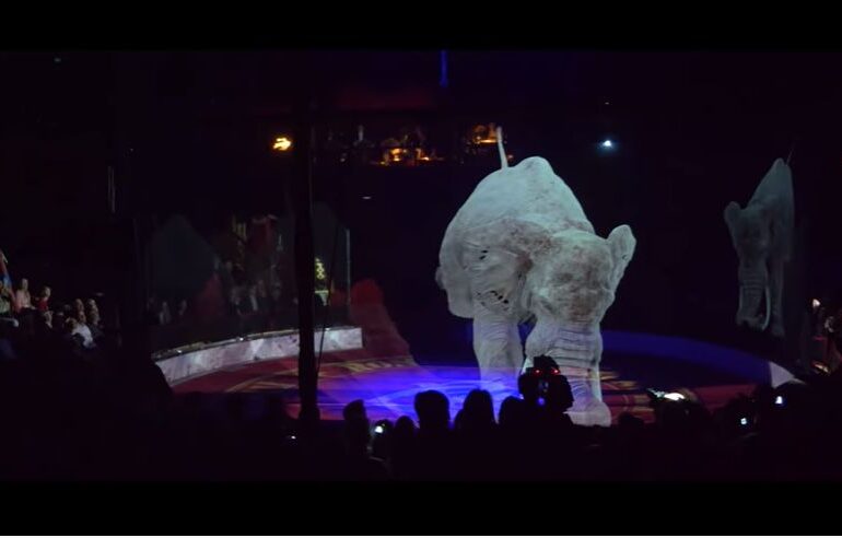 Cum arată un spectacol de circ, în Germania lui 2020 (Video)