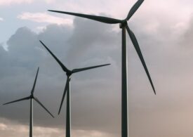 Războiul a adus un boom al energiei verzi: 25% din producţia UE e eoliană și solară